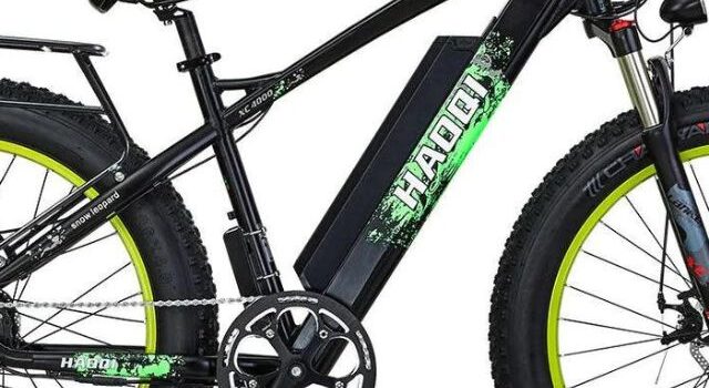 2023 HAOQI Green Leopard Pro Electric Bike Review